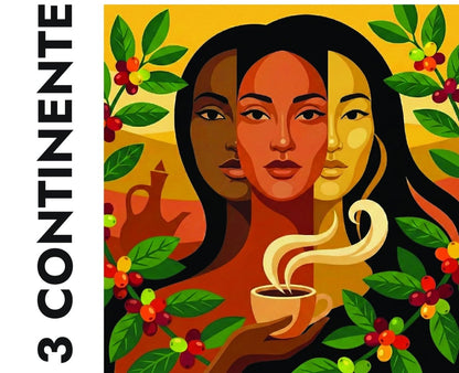 3Continente - Light Roast - ZAGORA - Prajitorie de Cafea