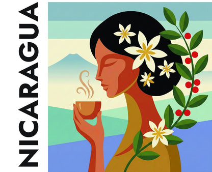 Nicaragua - Dark Roast